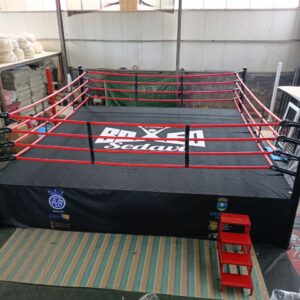 Ring x 1 m