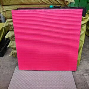 Tatami Puzzle