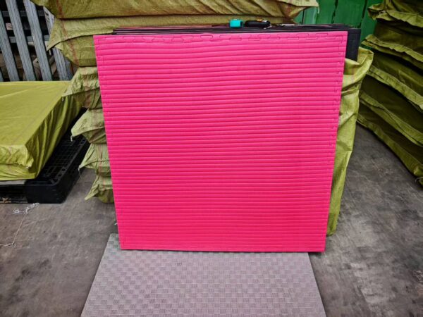 Tatami Puzzle