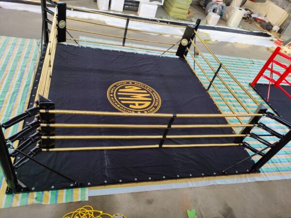 Ring de suelo - Imagen 2