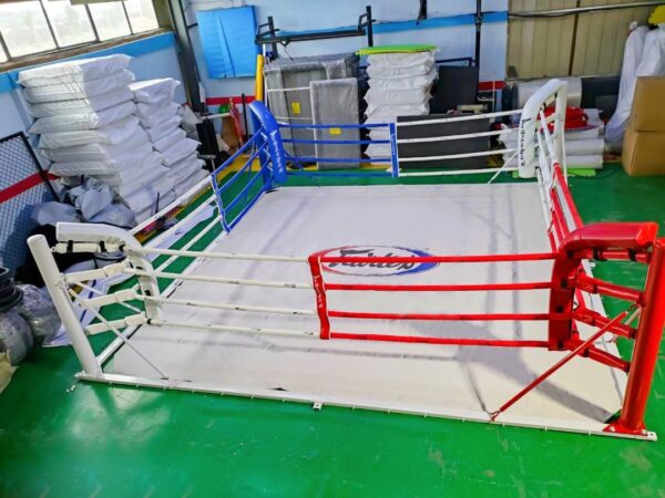 Ring de suelo - Imagen 4